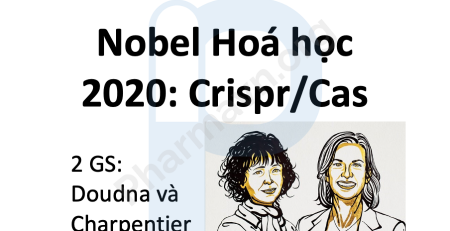 nobel-hoa-hoc-2020