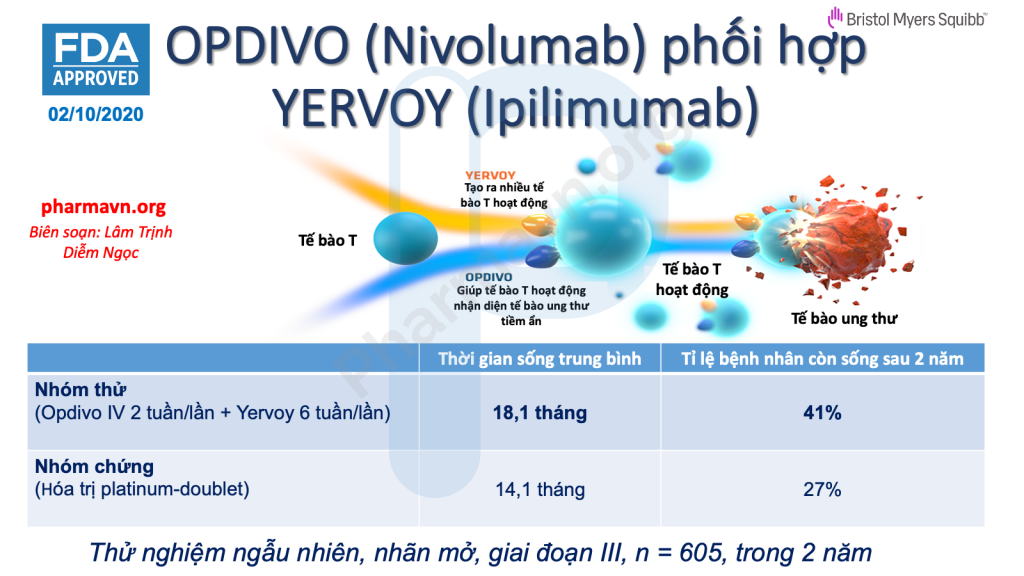FDA-opdivo-yervoy-ung-thu-phoi-ac-tinh